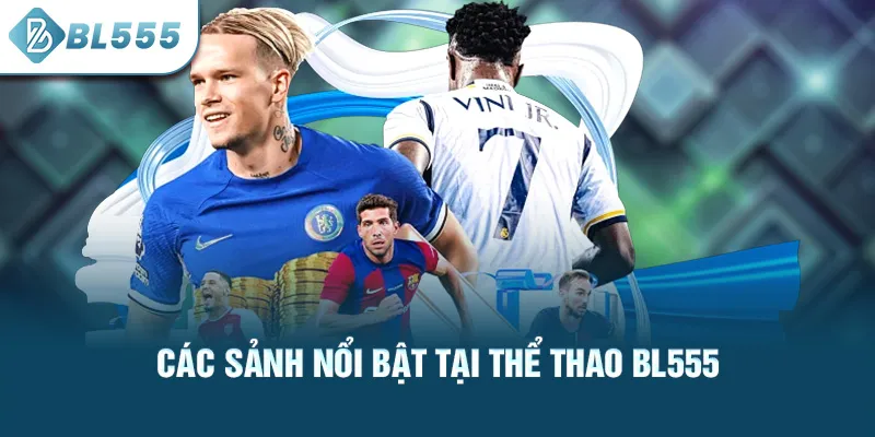 cac-sanh-noi-bat-tai-the-thao-bl555_17