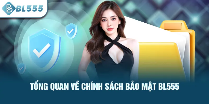 tong-quan-ve-chinh-sach-bao-mat-bl555_42