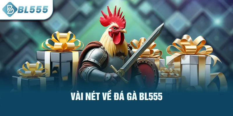 vai-net-ve-da-ga-bl555_26